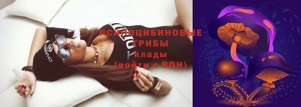 мет Абаза
